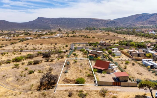 Lote Alcocer